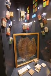 Bafra Tütün Müzesi 